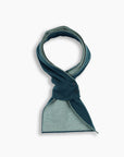 Teal & Mint Cashmere Mini Scarf