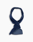 Ink & Dusty Blue Cashmere Mini Scarf